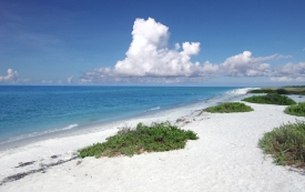 Sanibel Island, Florida As vacation destinations go it's all about slowing down. 